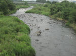 cc27f04d.jpg