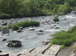 975d1f64.jpg
