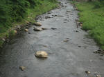 d417ffb4.jpg