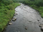 aa947746.jpg