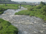 351a8b5e.jpg