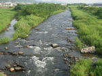 f2c01301.jpg
