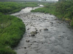 6dc11716.jpg