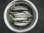c983474c.jpg