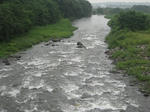 cd85a121.jpg