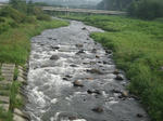 1d78854a.jpg