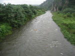 f246c131.jpg