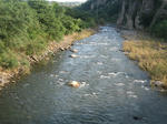 07461268.jpg
