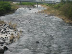672081ac.jpg
