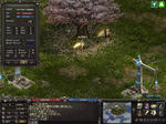 LinC0124.jpg
