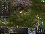 LinC0125.jpg