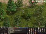 LinC0151.jpg