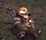 teraSS01.jpg