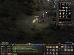 LinC0161.jpg