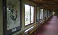 DCF_0033.JPG