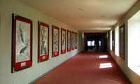 DCF_0038.JPG