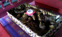DCF_0045.JPG