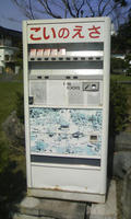 DCF_0075.JPG