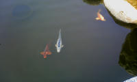 DCF_0078.JPG