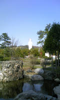 DCF_0082.JPG