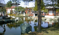 DCF_0085.JPG