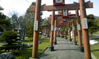 DCF_0088.JPG