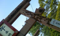 DCF_0089.JPG