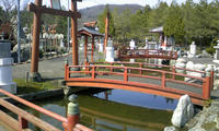 DCF_0092.JPG