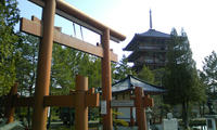 DCF_0099.JPG