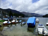DSCF0609.jpg
