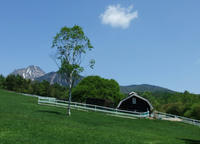 DSCF1885.jpg