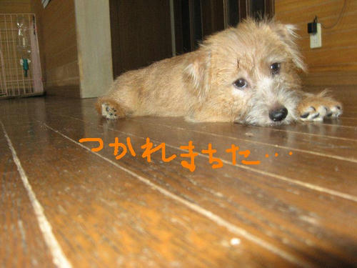 35d3c6c7.jpg