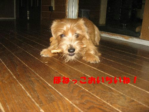 IMG_2462.JPG