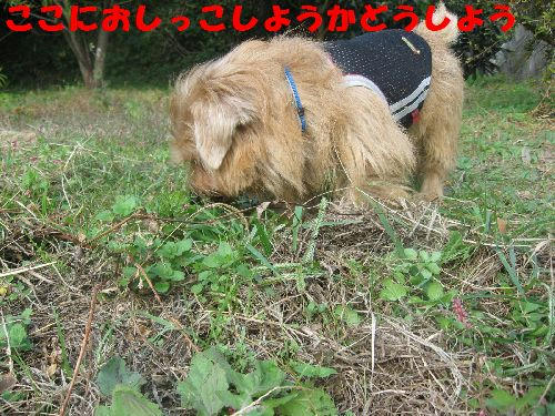 IMG_2537.JPG