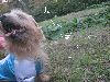 90f823e2.JPG