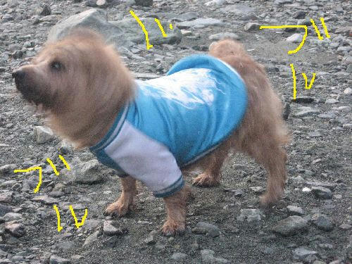 fb20d001.JPG