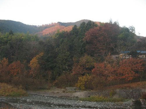 IMG_2390.JPG