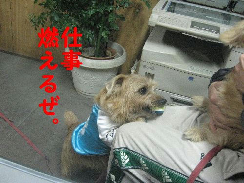 f1f04b67.JPG