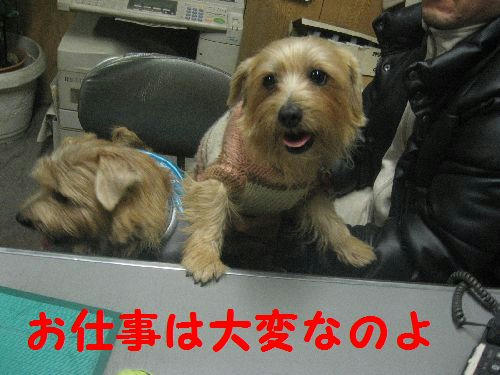 c890804a.JPG