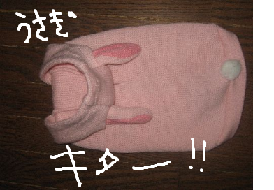 fimg_1228910245.png
