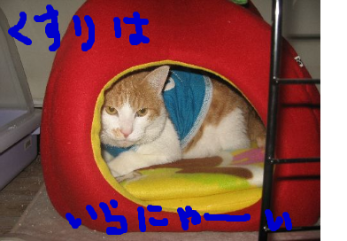 fimg_1228910666.png