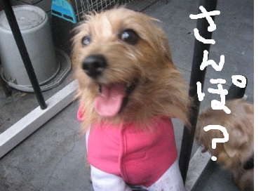 fimg_1228910997.png