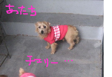 fimg_1228911141.png