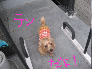 fimg_1228911200.png