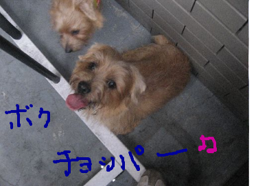 fimg_1228911283.png