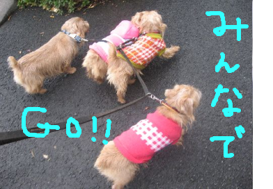 fimg_1228911369.png