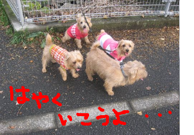 fimg_1228911910.png