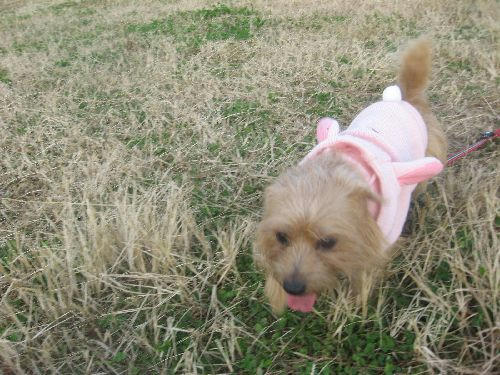 IMG_2389.JPG