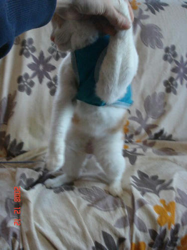 DSC01102.JPG