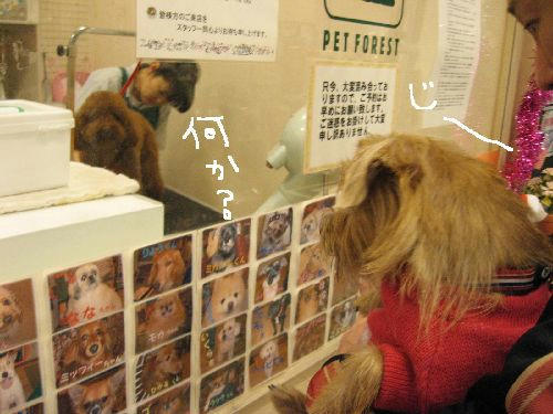7cb34f0a.JPG
